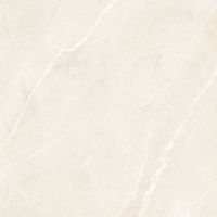 Dhara Sand Matte 48 x 48